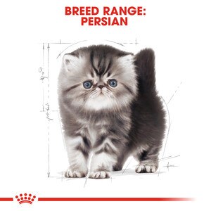 ROYAL CANIN® Persian Kitten 4kg
